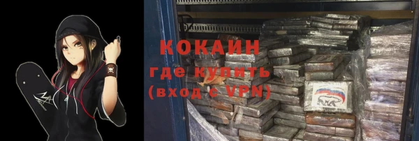 шишки Абаза