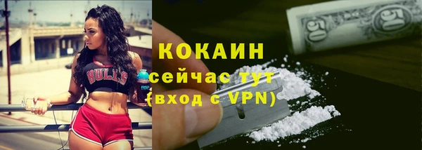 шишки Абаза