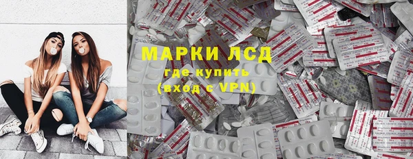 шишки Абаза