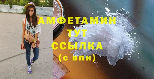 молекула духа Весьегонск