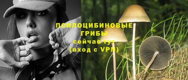шишки Абаза