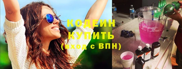 шишки Абаза