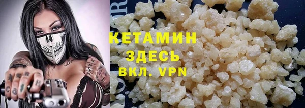 шишки Абаза