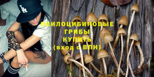 прущие грибы Абдулино