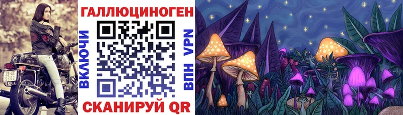 Псилоцибиновые грибы Psilocybine cubensis Барыш